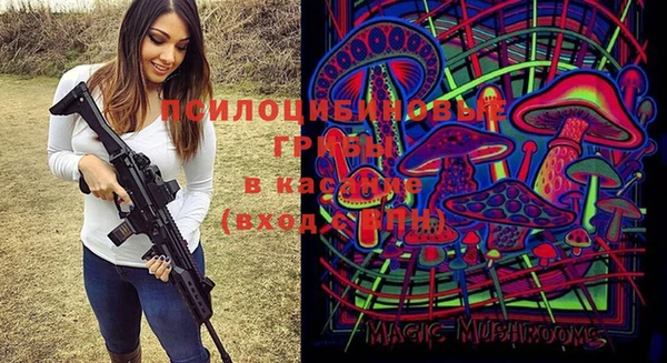 бошки Осташков