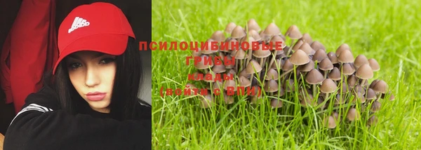 хмурый Себеж